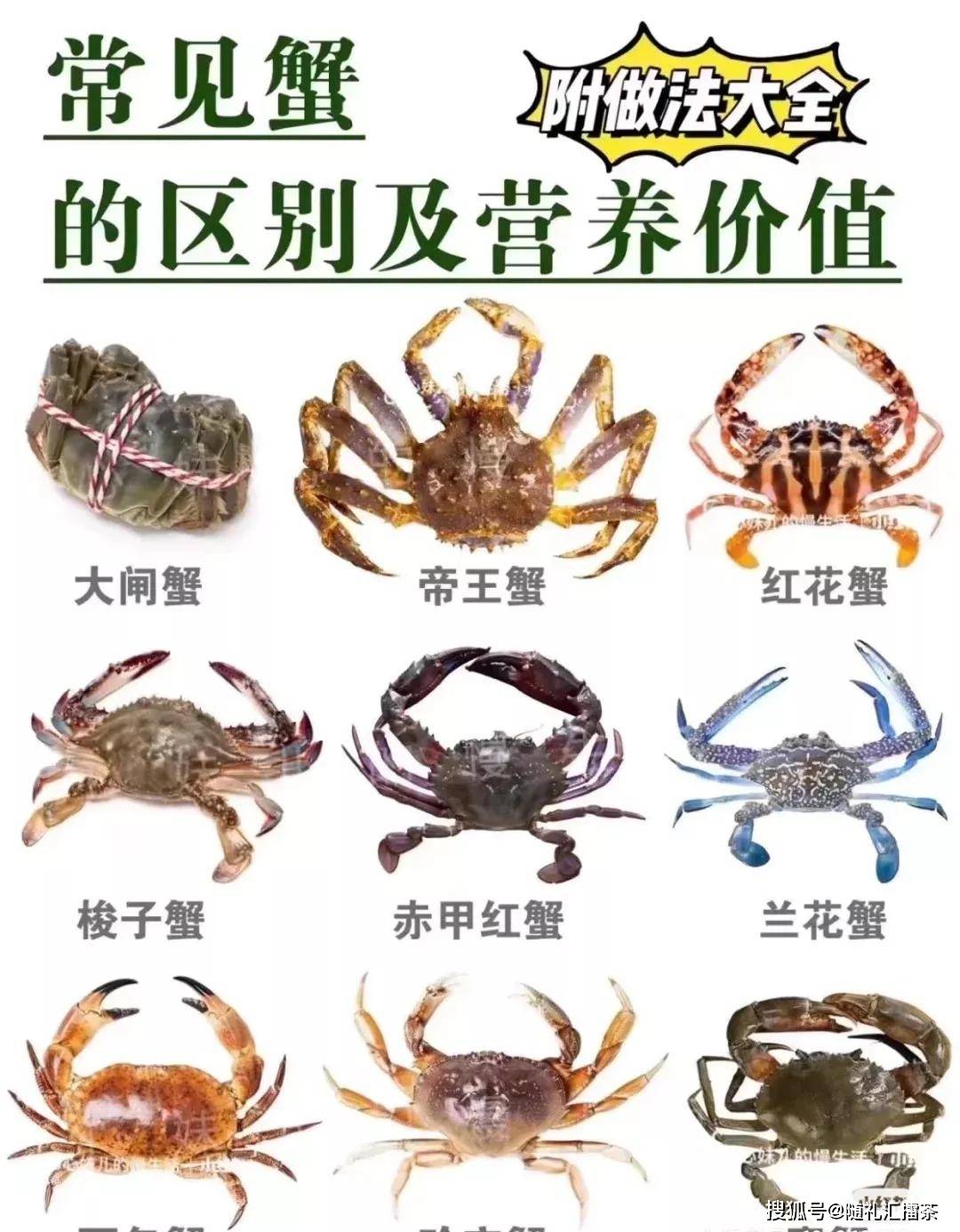 蟹品种大全图解及名字图片