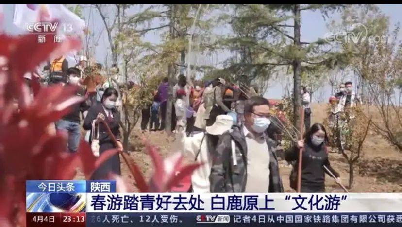 “沐春风静初三日，俪行白鹿趁年华”白鹿原上文化游