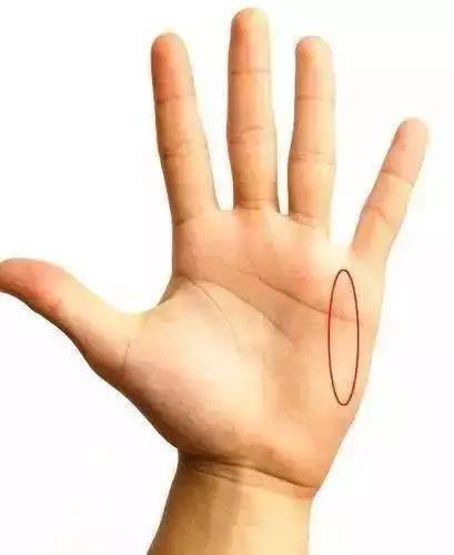 说说如何看面相手相自断吉凶不求人