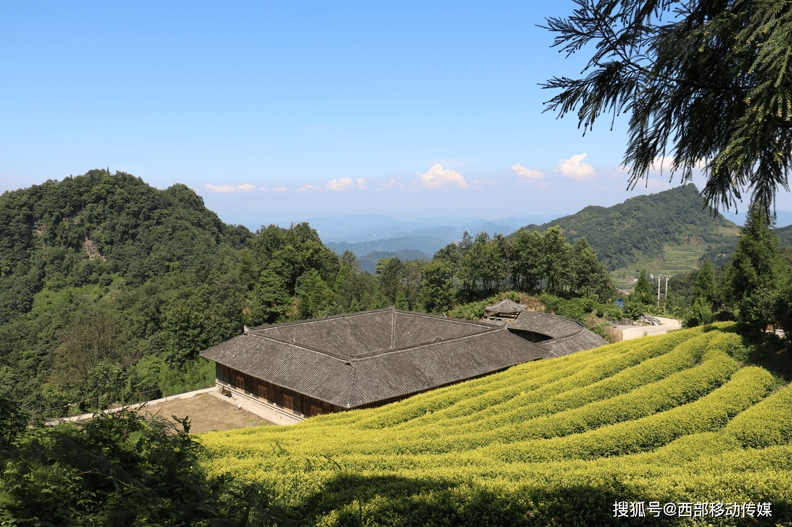 首例盐津县人民医院首次开展应用心脏血管内超声精准指导介入手术