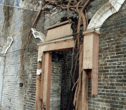 广东最“神秘”的无人村：荒废20年，整个村子被树根“侵占”