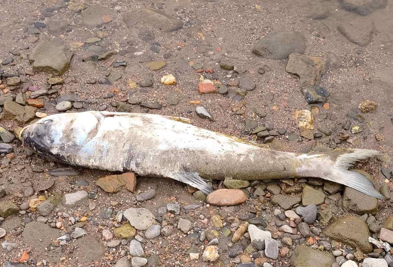 原创钓德对钓鱼的不同方式反映了不同人的境界这种说法你赞同吗