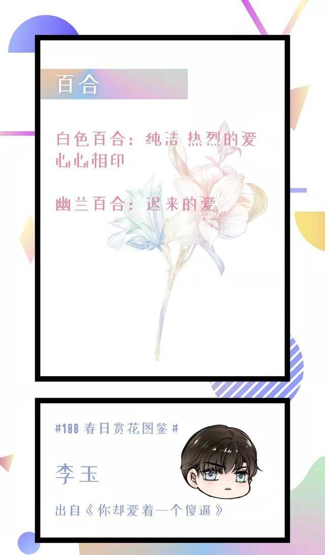 188男團花語邵群罌粟晏明修藍花楹洛羿櫻花草李玉雙色百合