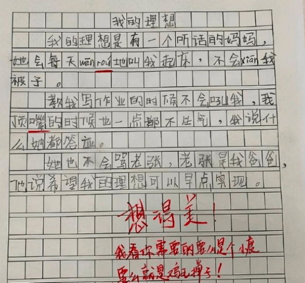 原創小學生作文我的理想腦回路清奇老師希望你不要來真的