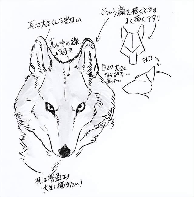 教你画动物狼的画法重点!_耳朵_灵猫_课堂