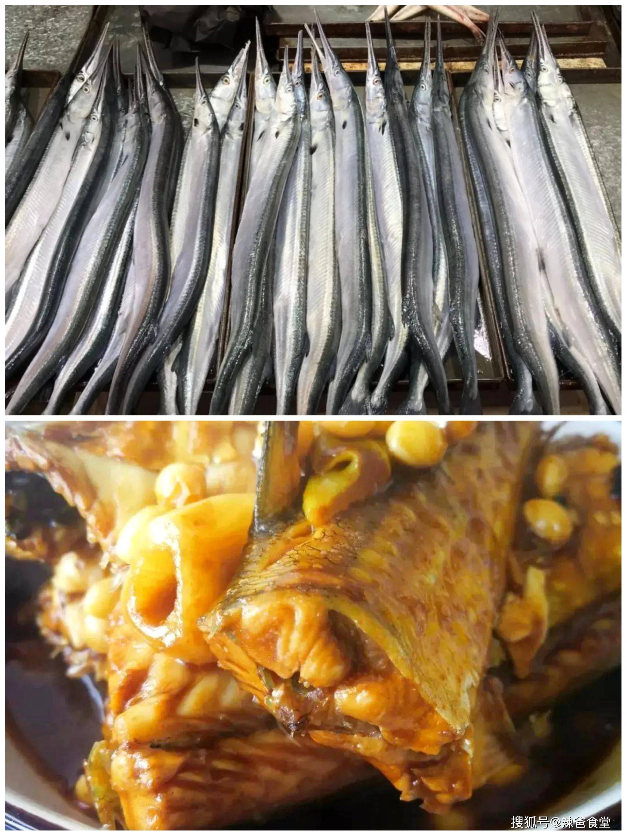 少见的鱼类：贵针鱼，胖厨师分享椒盐做法，外酥里嫩骨头都是香的_哔哩哔哩_bilibili