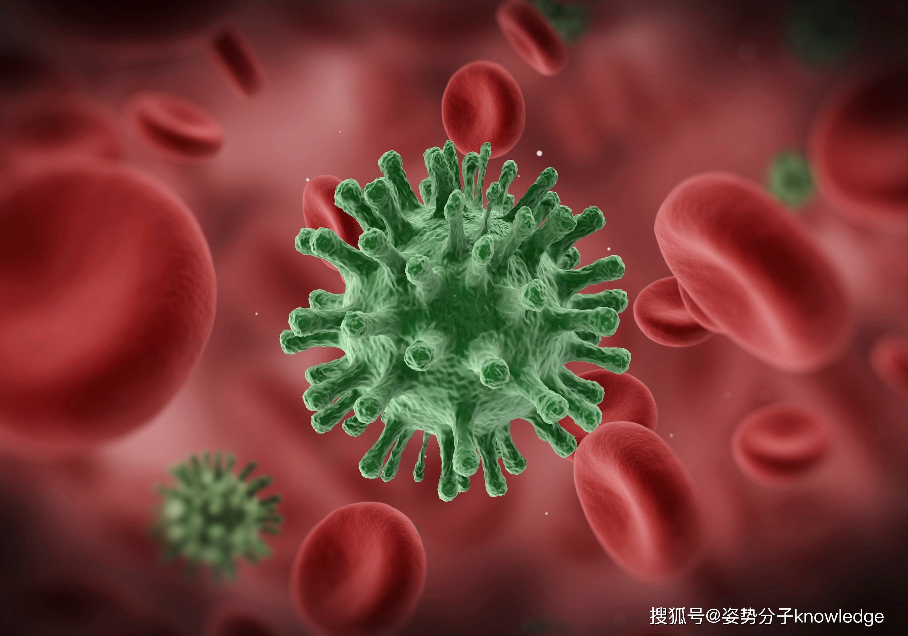 注意到:目前正在美国流行的h5n1病毒,和早期的h5n1禽流感病毒有所不同