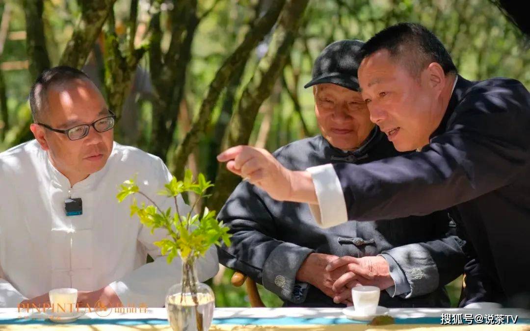 福鼎老树白茶开采节举办,三代茶人共同演绎白茶传承与匠心_林振传