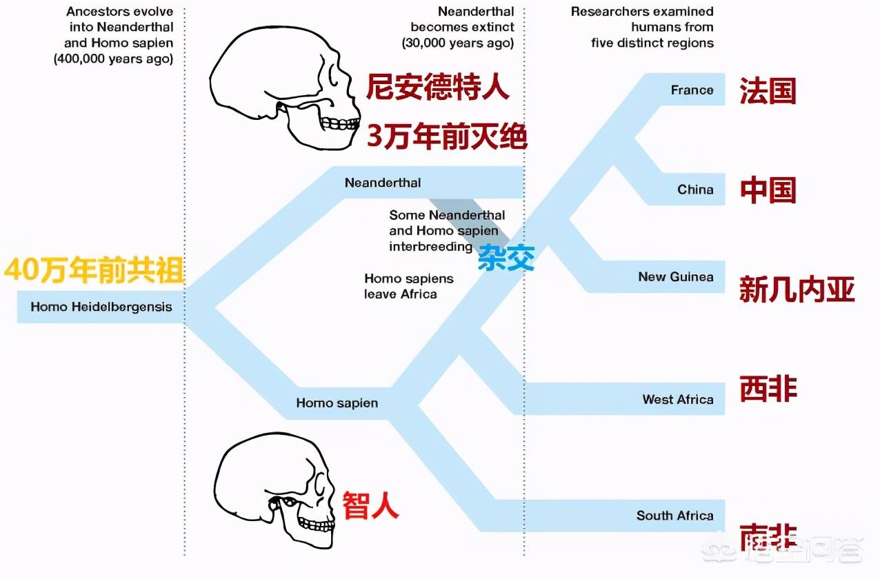 青年失业率创史高的背后| TikTok, image size:1276x840