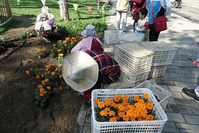 2022年报考园艺师证怎么报名报名流程