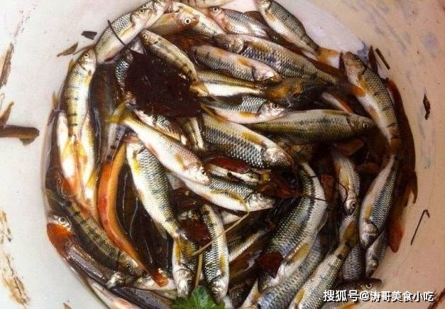 1,石爬子在成都,號稱野生魚的石爬子在批發市場價格一直都在1000元/斤