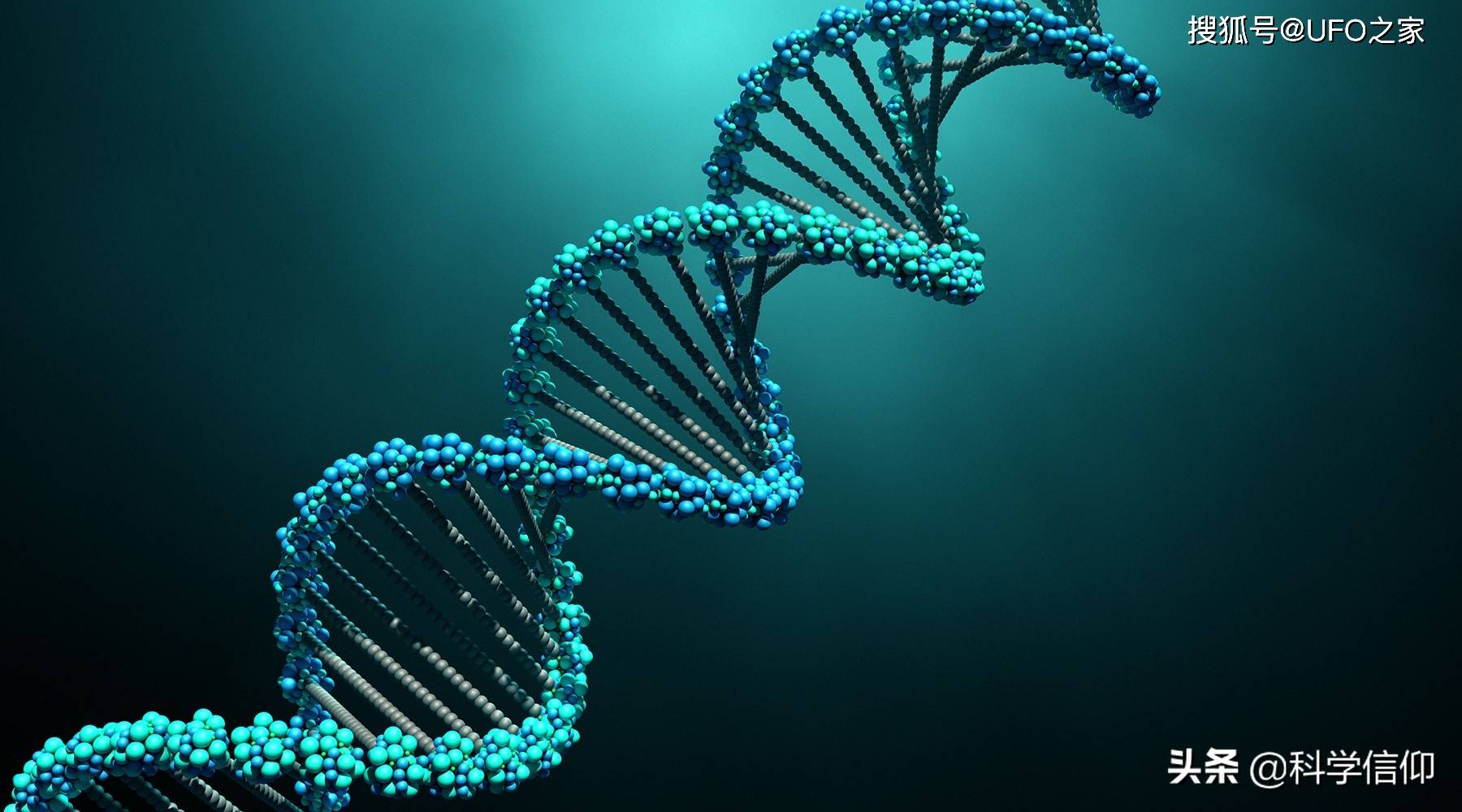 细胞_基因组_人体