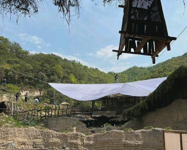 1:1实景拍摄,片场树上都是人_照片_杨紫来_树木