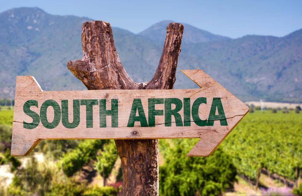 南非商标保护的主要路径(下)_侵权_商品_上诉