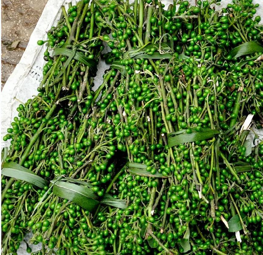 原创它叫山胡椒酷似樟树果实大自然馈赠的美食遇到别不识货