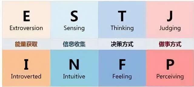 aioc项目最近很火的mbti测试这4类人格超适合做程序员
