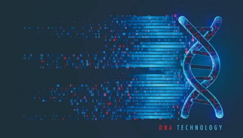 "生命地图"拼接成功,认识你自己!_检测_基因组研究_人类