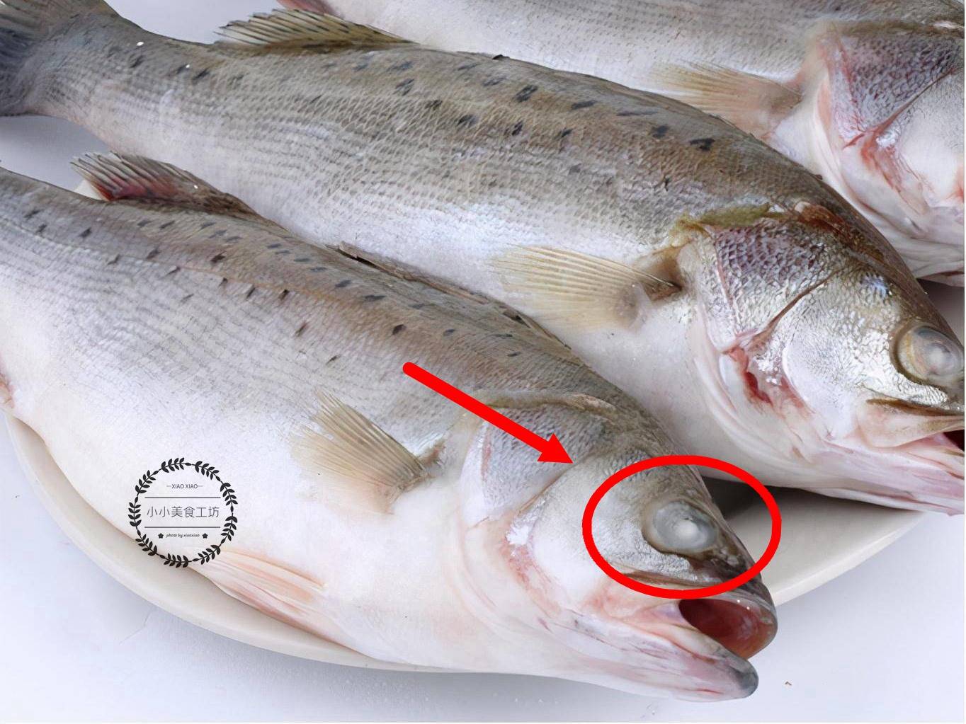 买鲈鱼,要分清"海鲈"和"淡鲈",区别很大,买错难吃浪费钱_淡水_肉质
