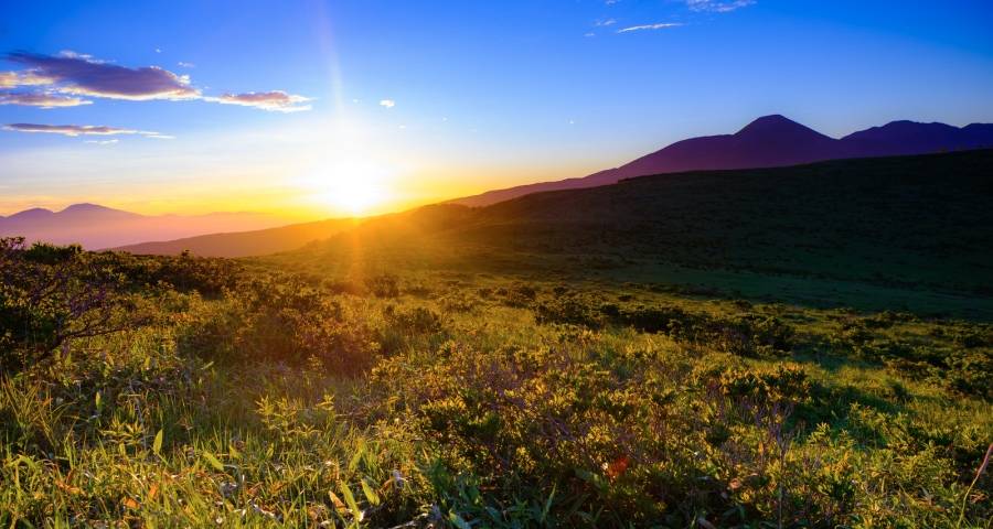 行业跌、海尔涨!空调Q1市场释放两个价值引擎-家电圈官网