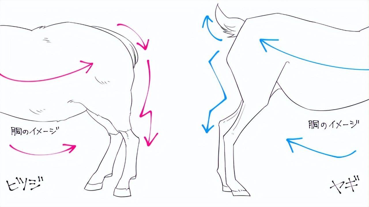 如何畫小動物教你簡單可愛小動物的畫法教程