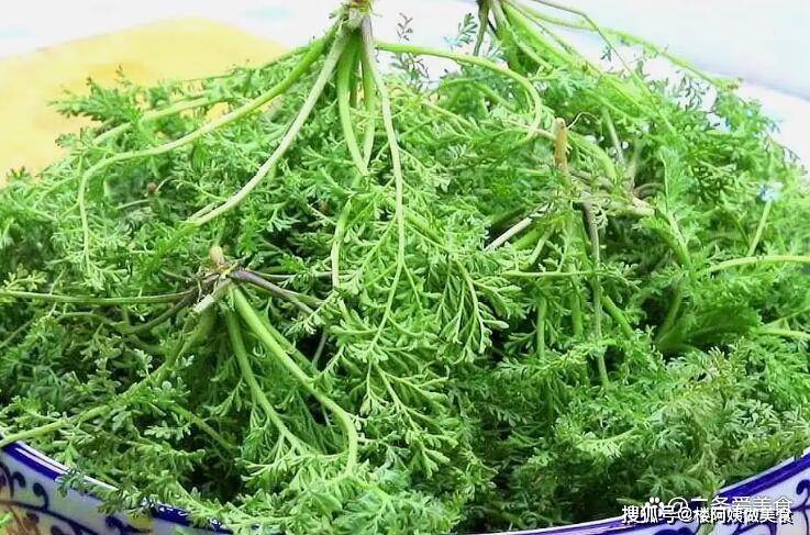 春天来了,万物复苏,很多春天的迎春菜也都陆续上市了,麦蒿是象征春天