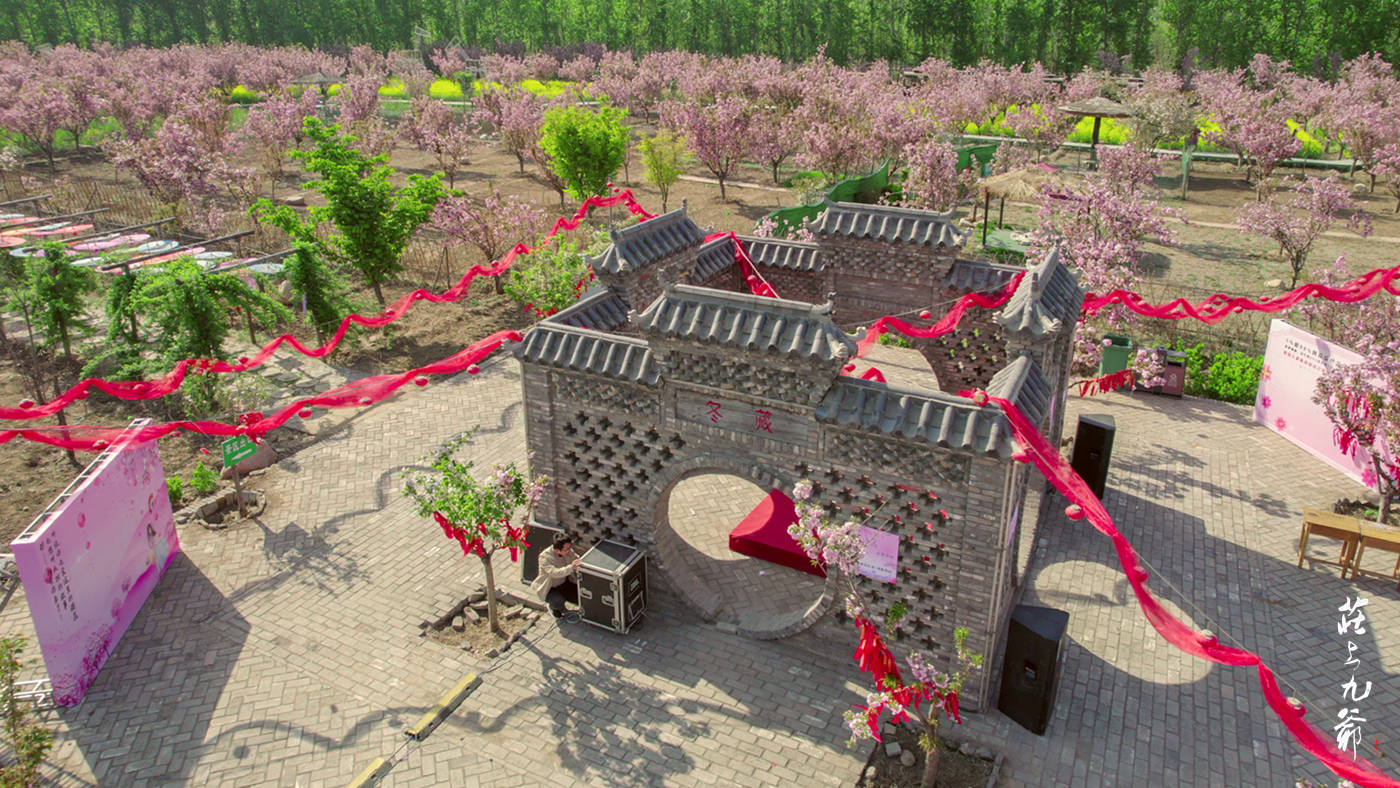 樱花小镇 那开往春天的列车_正定_景区_古城