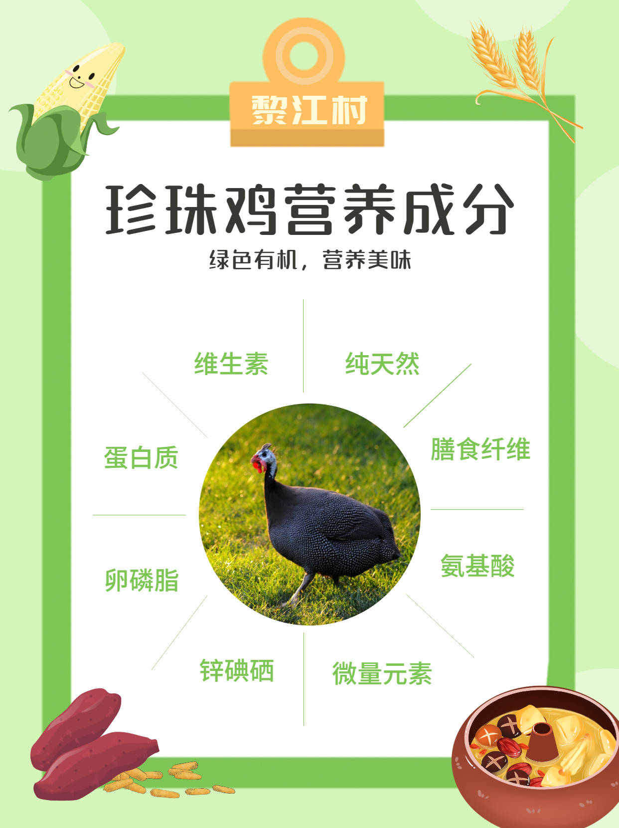 珍珠鸡的认知与营养价值