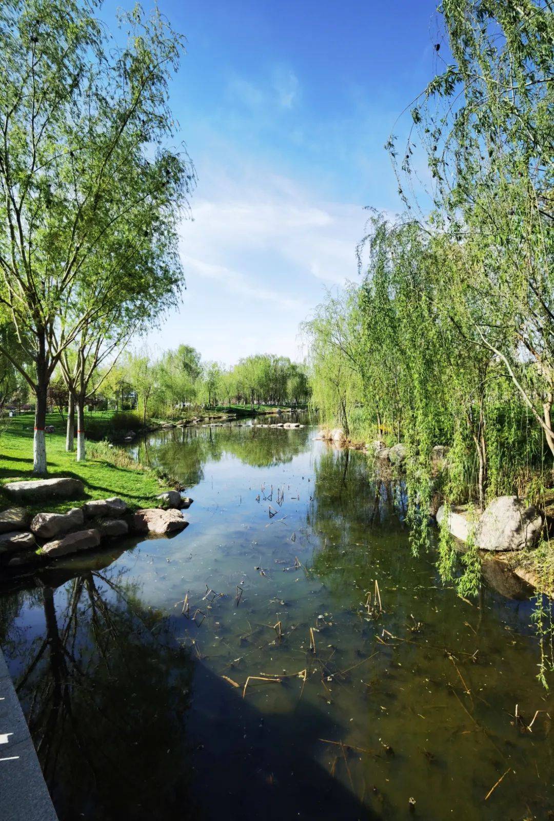 美丽新疆 —— 汉人街湿地公园_伊宁市_市民_丝路