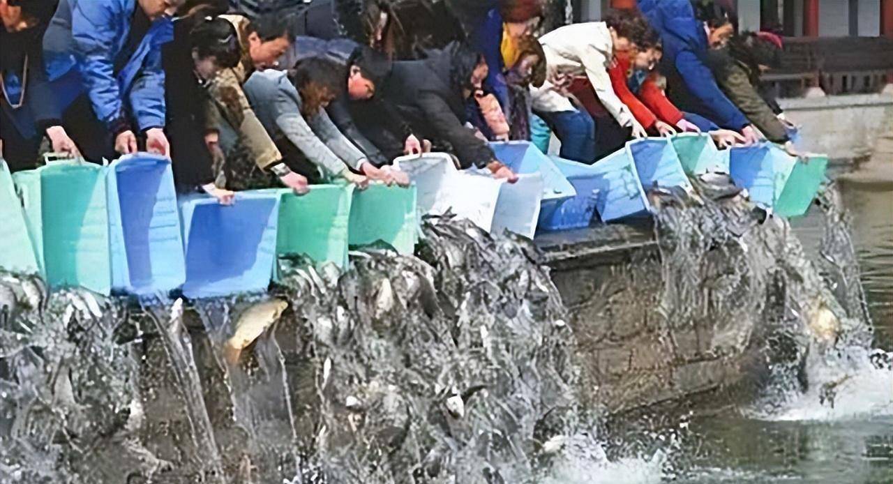 原创1983年蛇灾前因后果特大洪水让蛇无家可归居民以为有天灾发生