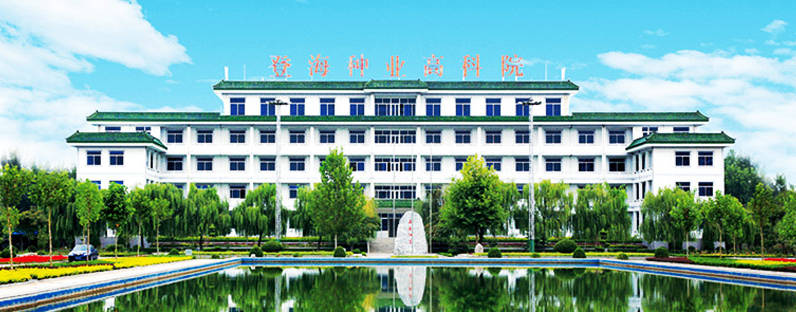 原创提高种源安全性加快技术创新登海种业有决心端好饭碗