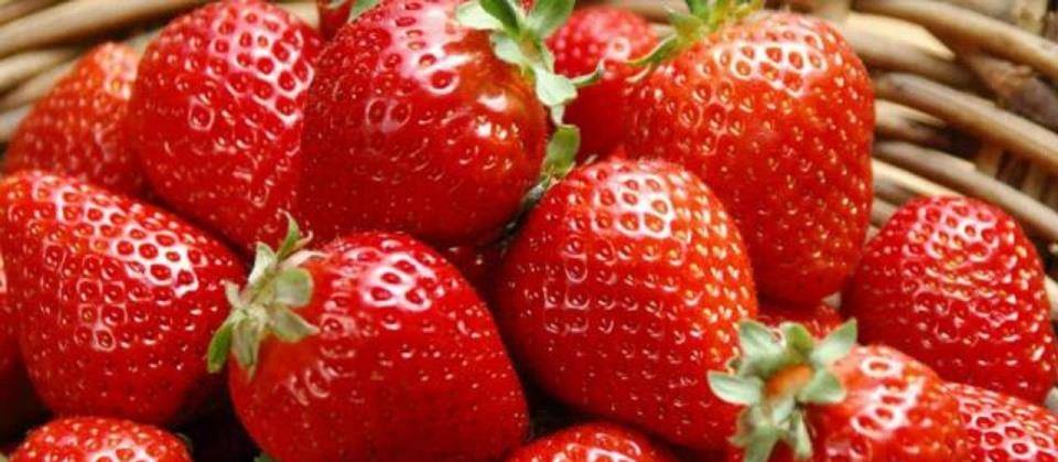 喜欢吃草莓 怎样挑选？记住此三种不要买 记得分享给家人 