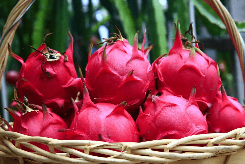 同样是火龙果,要分清白心和红心,区别挺大,弄懂再买心里有底_水果