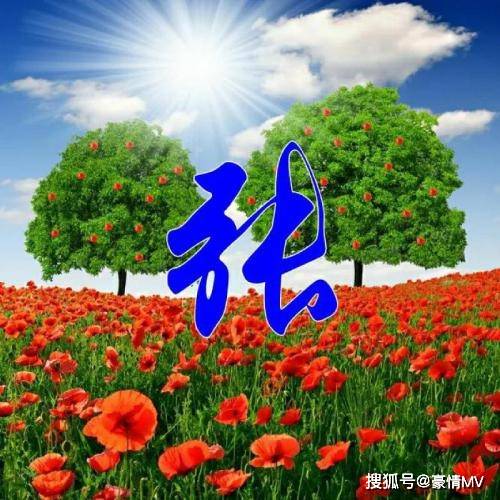 风景姓氏微信头像图片蓝天白云迷人的美景足足