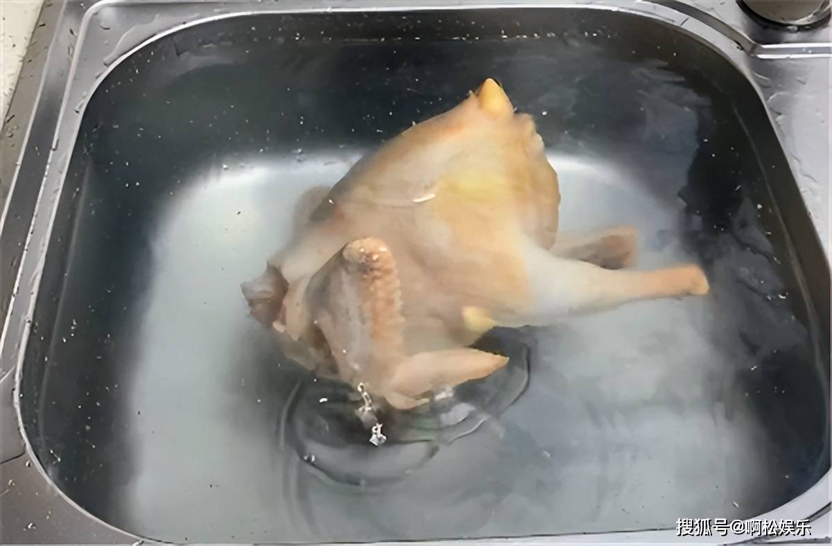 把鸡放到盐水里泡一泡,这样做出来,咸香肉嫩,吃得满嘴香_小鸡炖蘑菇