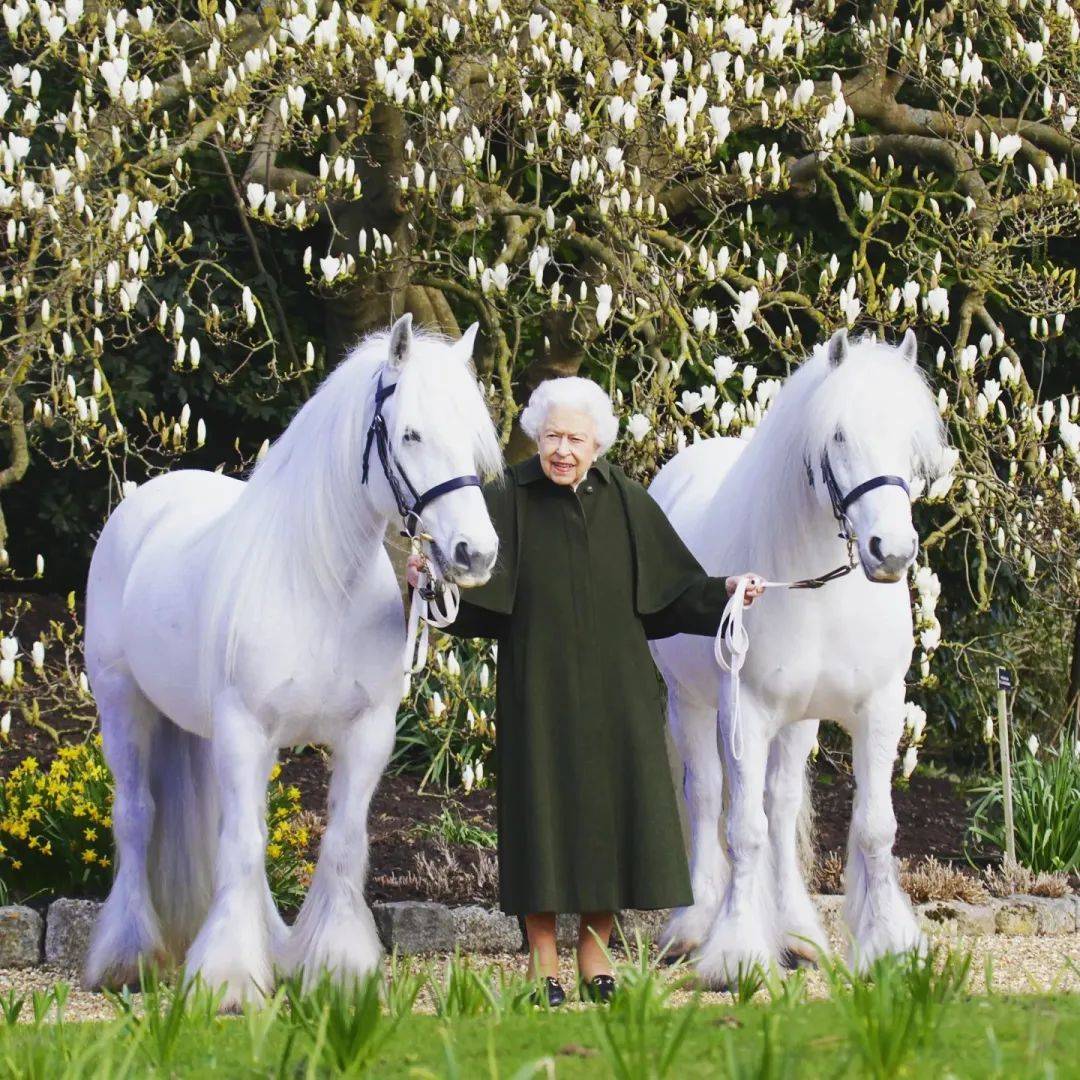 英国女王今天96岁了，登上时尚杂志封面，少女至今罕见照片大公开！
