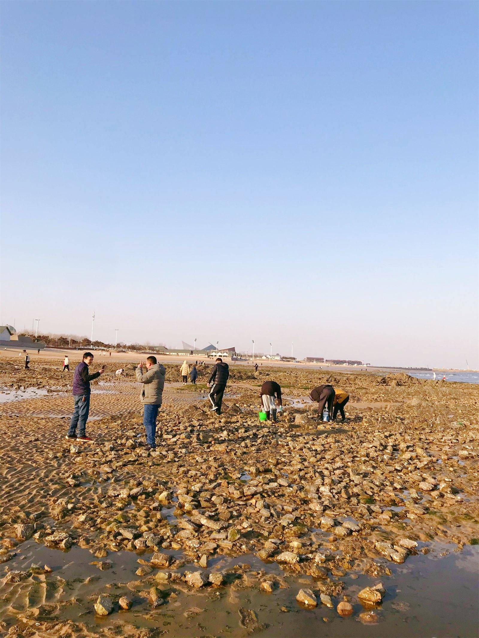 日照赶海区—张家台,吴家台赶海园张家台,吴家台是非常适合赶海的