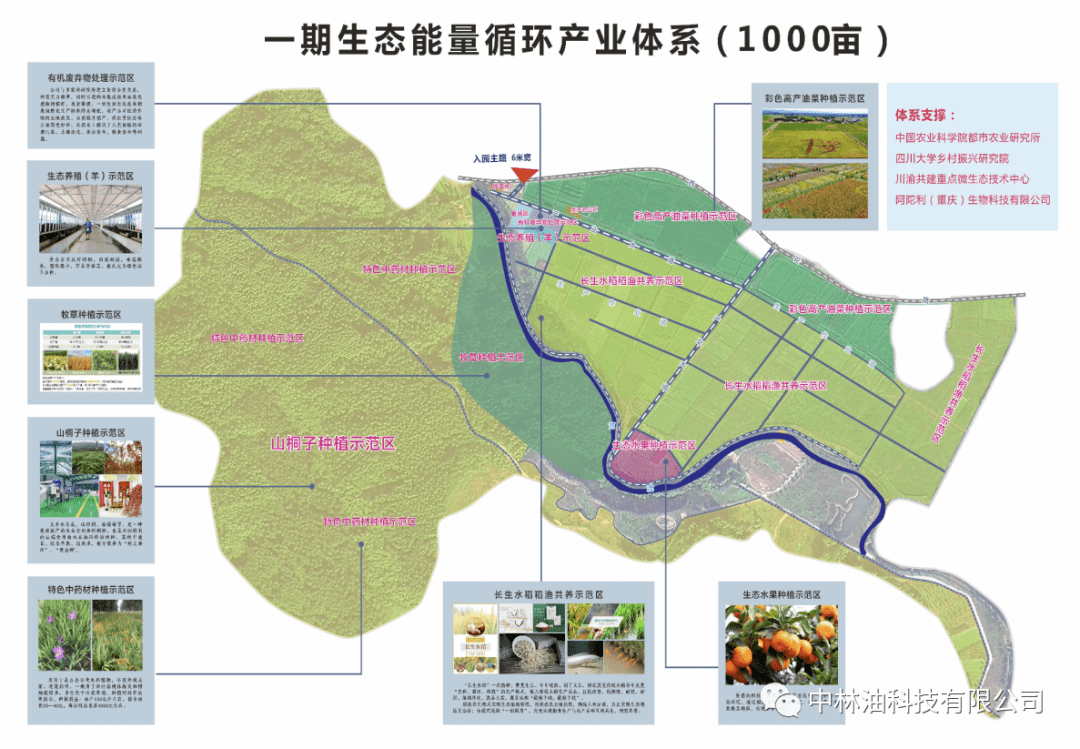 成都生态农业：绿色发展的生动实践