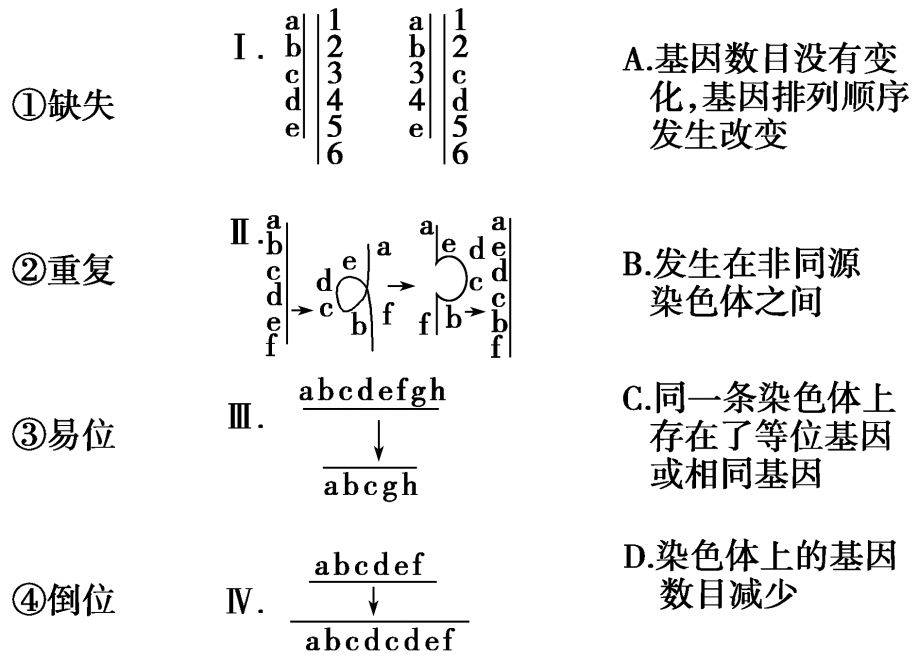 倒位,缺失,重复等染色体结构性异常,以及非整倍体等染色体数目异常