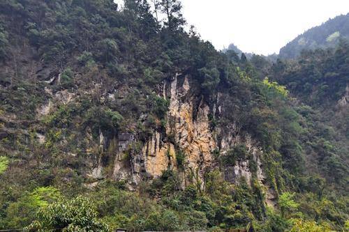 重庆低调景区，峰谷绵延数十条山脉，素有“植物王国”之称