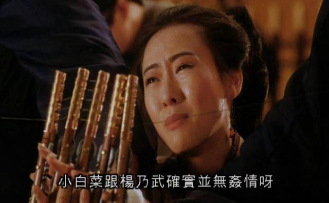 杨乃武的姐姐,坚持告到御前,被告者杨乃