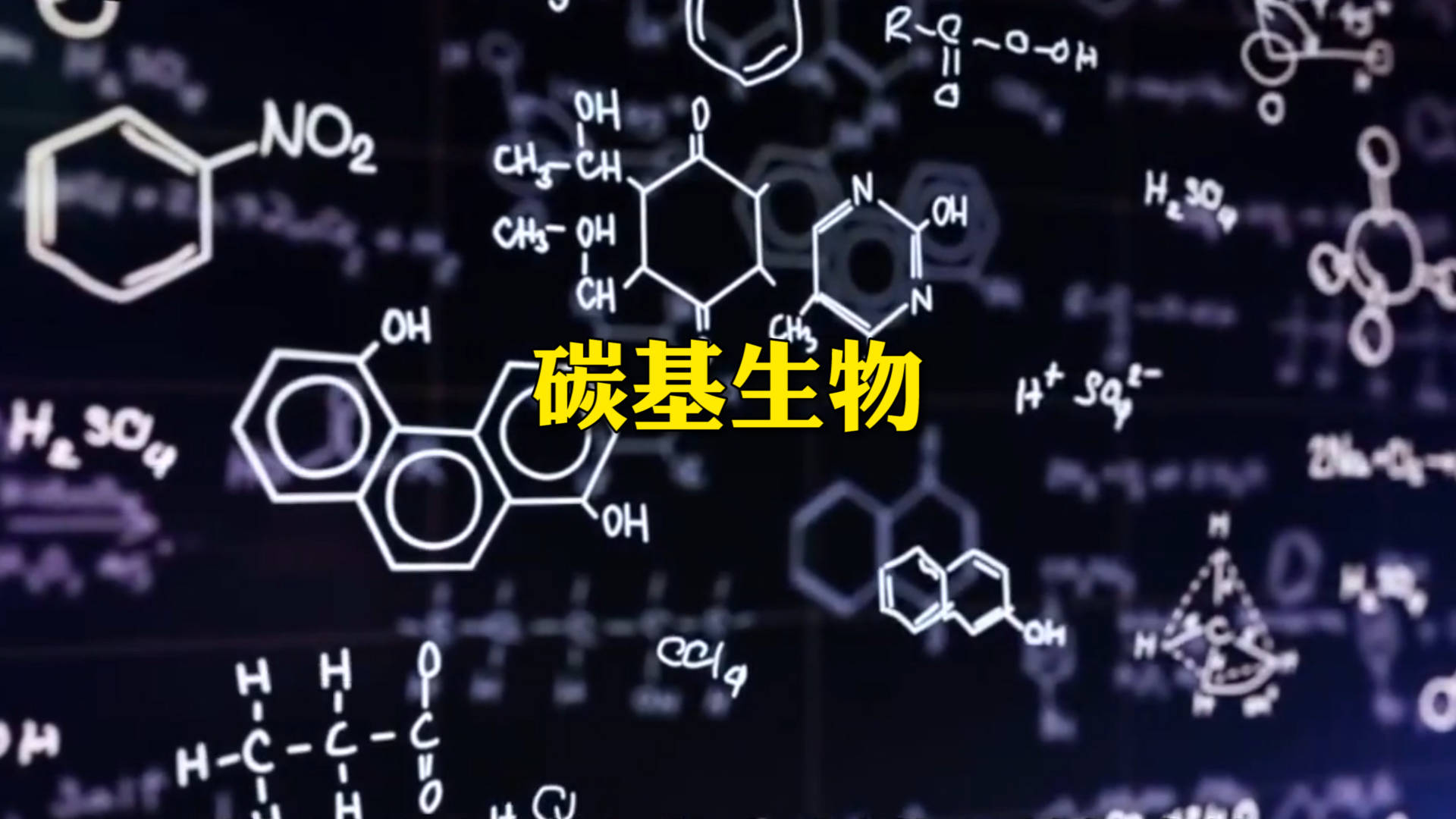 碳基生物是什么梗图片