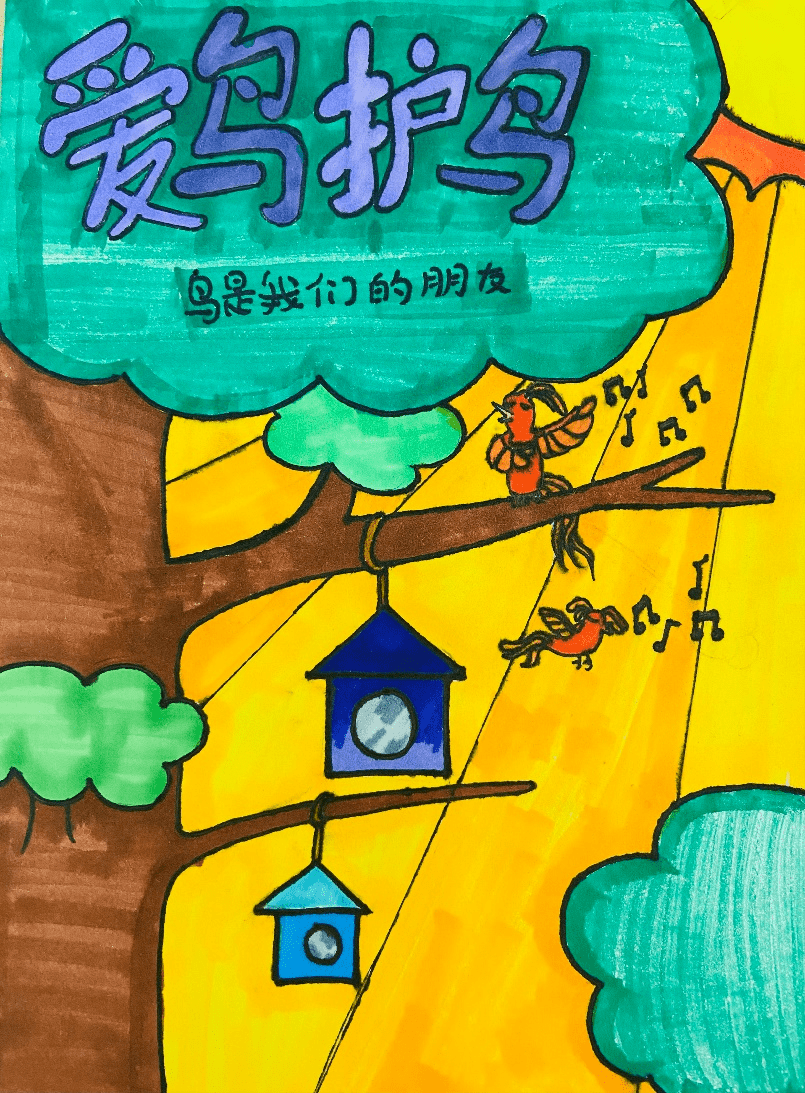 守护蓝天精灵,共享美好家园