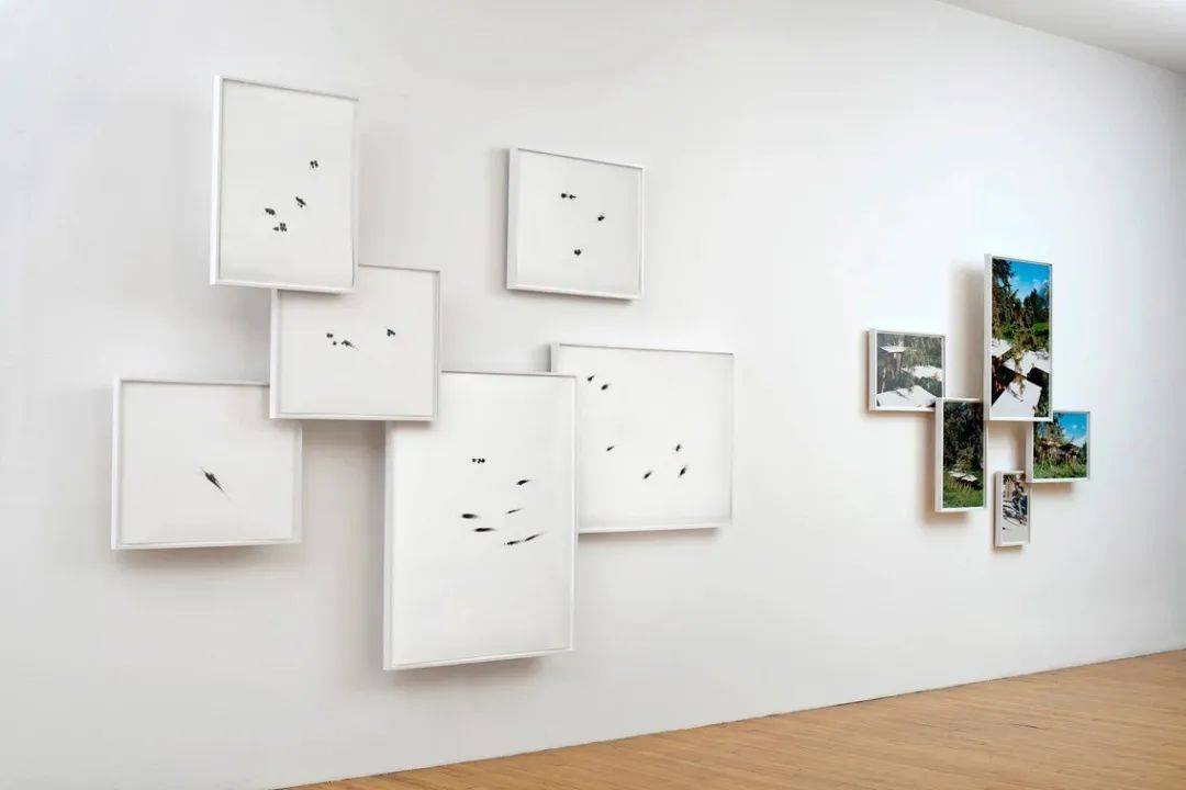 远方充电站timknowles风与树的画