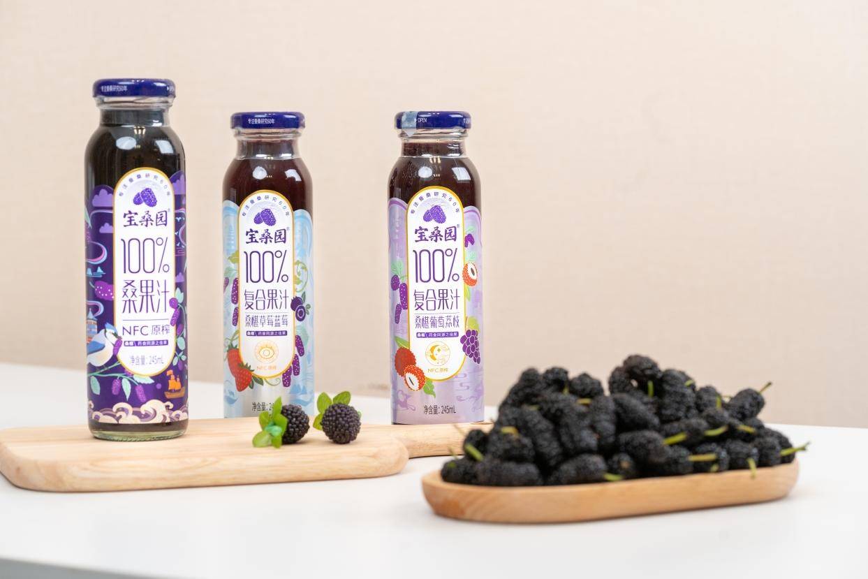 饮养一夏宝桑园100桑果汁助你解锁夏日好状态