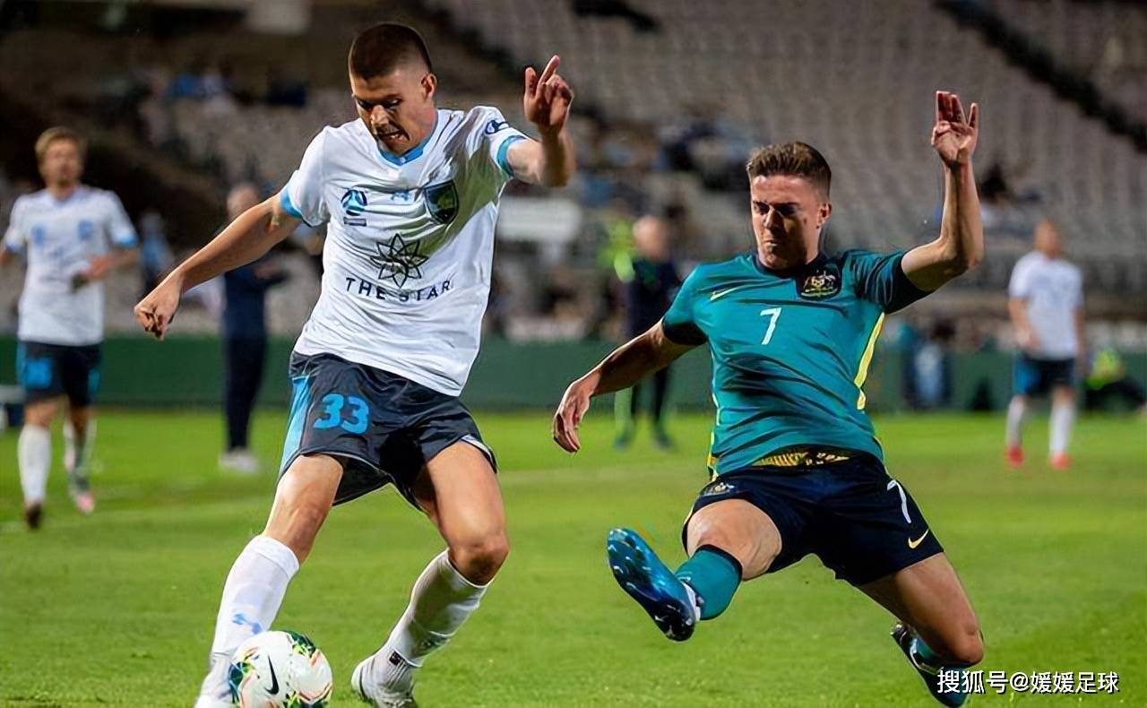 新泻天鹅vs岩手盛冈仙鹤 秋田蓝色闪电vs冈山绿雉 大分三神vs枥木sc