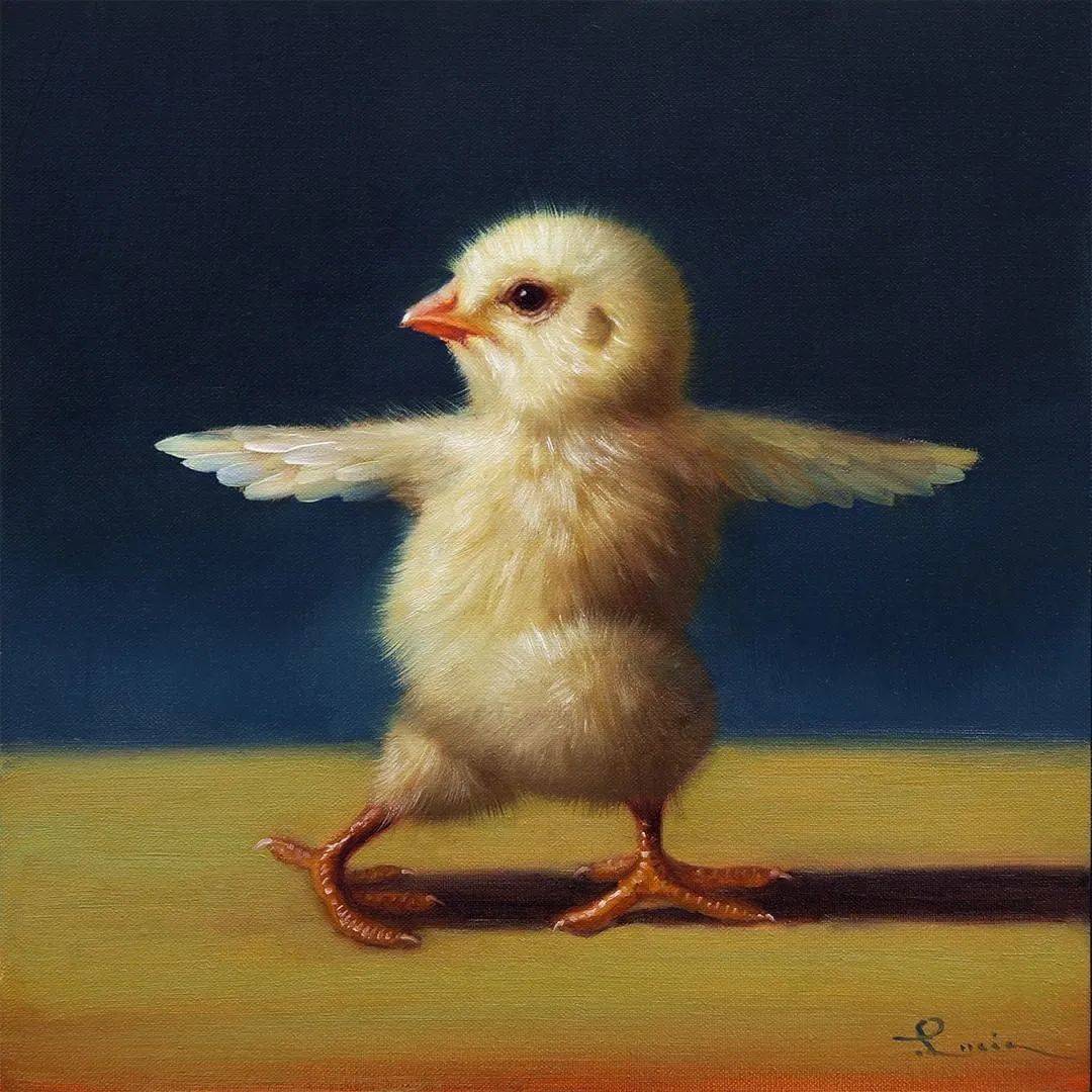 原创会做瑜伽的小鸡仔爆红外网网友傻眼比我还自律是怎么回事