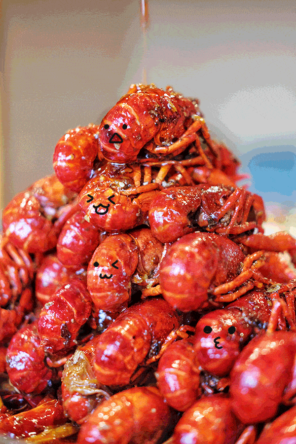 生活除了诗和远方还有眼前的蒜蓉麻辣十三香小龙虾