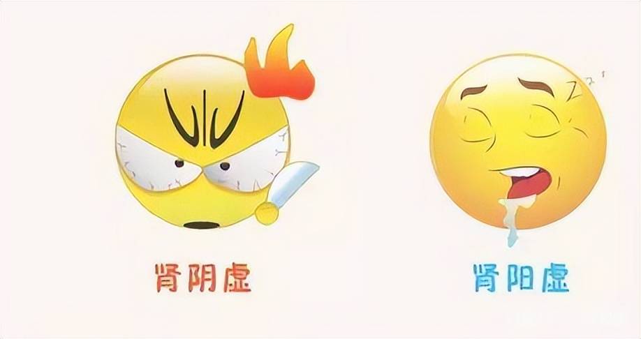 肾阴虚和肾阳虚食物和补药也不同别不当回事