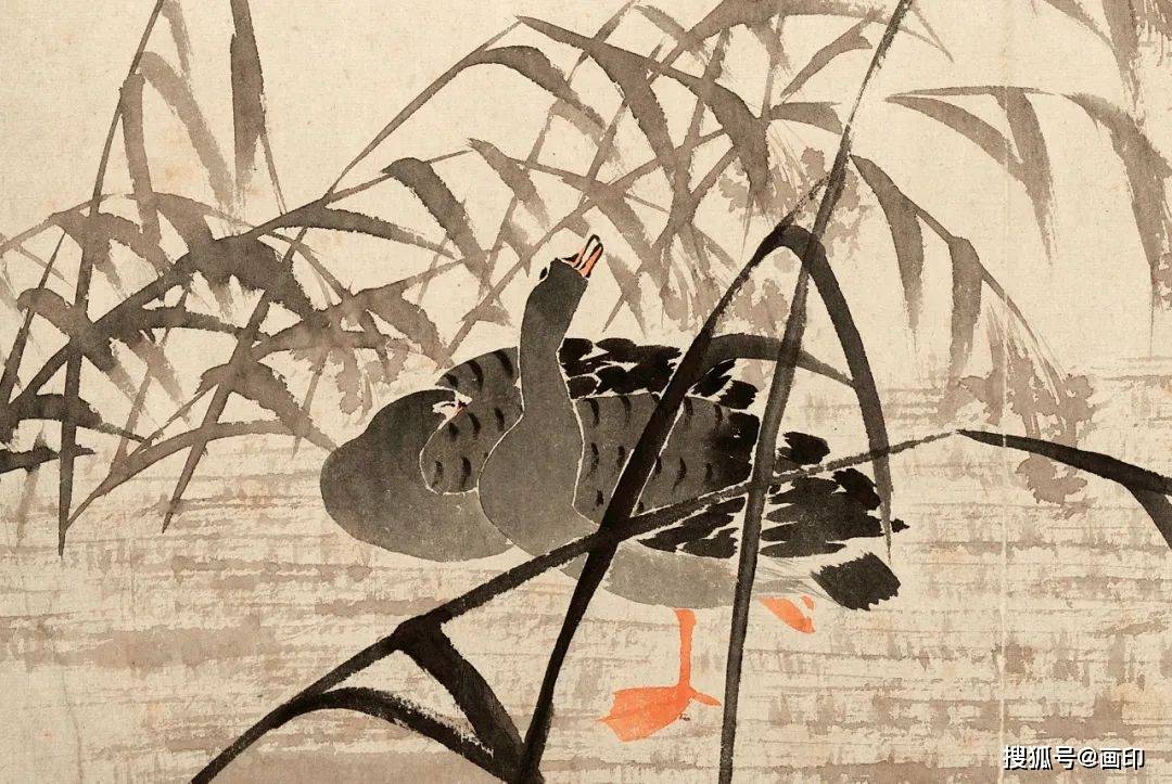 清边寿民芦雁图册十开