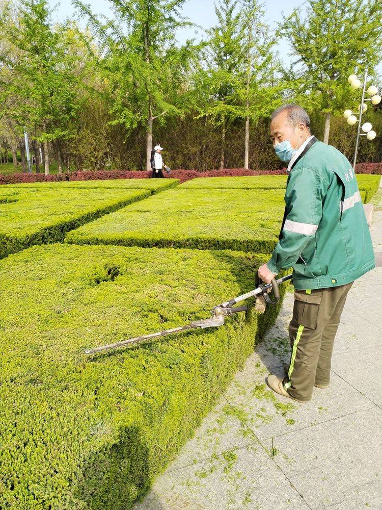 致敬园林工